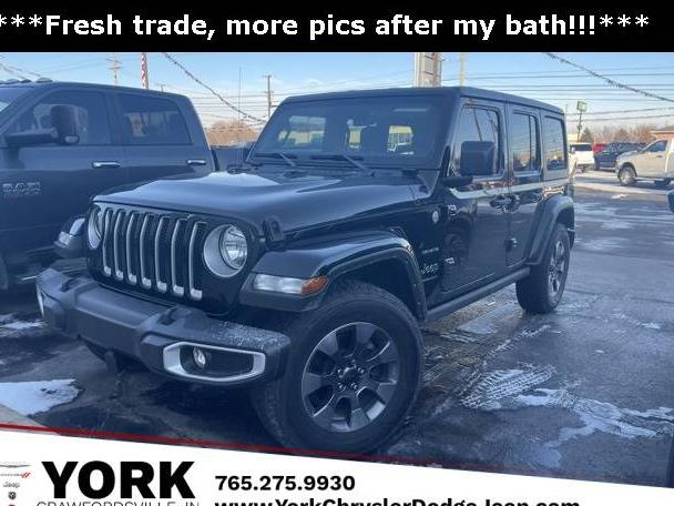 JEEP WRANGLER 2023 1C4HJXEGXPW600143 image