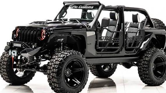 JEEP WRANGLER 2025 1C4PJXDN9SW513225 image