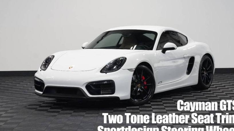 PORSCHE CAYMAN 2016 WP0AB2A82GK185567 image