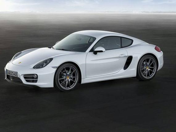 PORSCHE CAYMAN 2014 WP0AA2A82EK171197 image PORSCHE CAYMAN 2014 WP0AA2A82EK171197 image