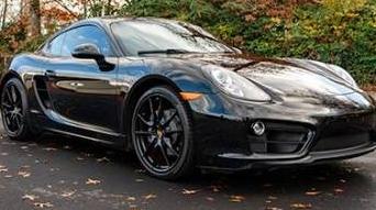 PORSCHE CAYMAN 2014 WP0AA2A80EK171005 image