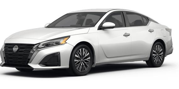 NISSAN ALTIMA 2023 1N4BL4DV0PN365245 image