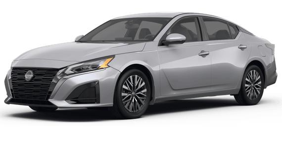 NISSAN ALTIMA 2023 1N4BL4DV0PN305367 image