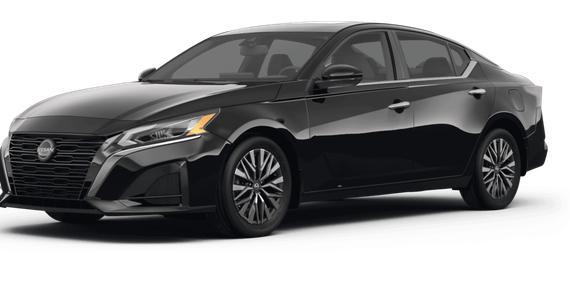 NISSAN ALTIMA 2023 1N4BL4DV0PN387794 image