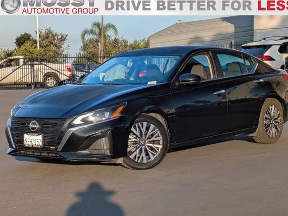 NISSAN ALTIMA 2023 1N4BL4DV7PN336776 image