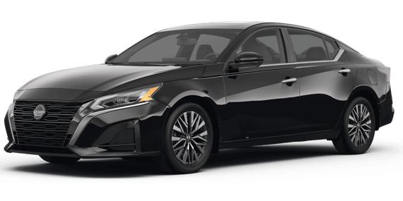 NISSAN ALTIMA 2023 1N4BL4DV5PN407599 image