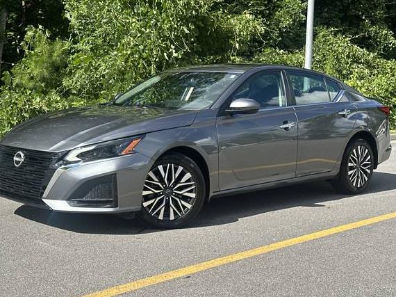 NISSAN ALTIMA 2023 1N4BL4DW5PN304269 image