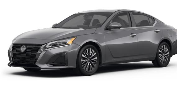 NISSAN ALTIMA 2023 1N4BL4DV4PN310233 image