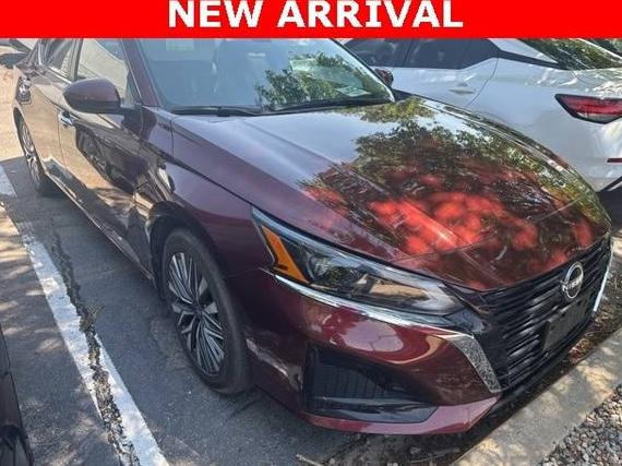 NISSAN ALTIMA 2023 1N4BL4DV3PN336418 image