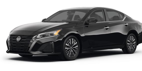 NISSAN ALTIMA 2023 1N4BL4DV1PN345473 image