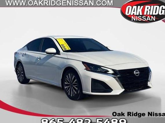 NISSAN ALTIMA 2023 1N4BL4DV1PN401010 image