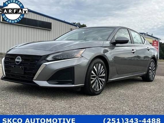NISSAN ALTIMA 2023 1N4BL4DV0PN376424 image
