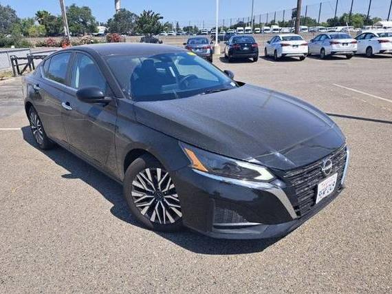 NISSAN ALTIMA 2023 1N4BL4DV9PN349335 image
