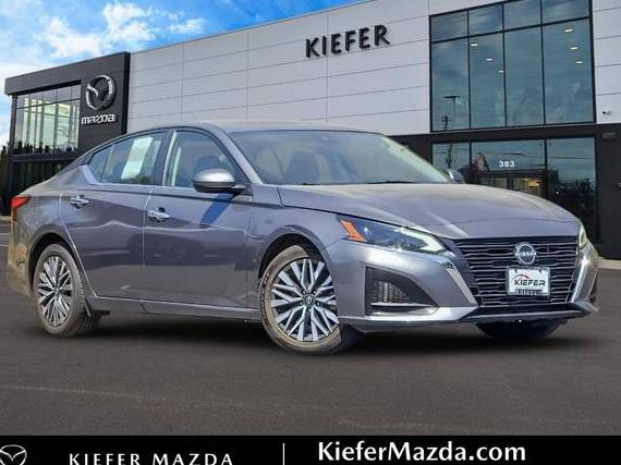 NISSAN ALTIMA 2023 1N4BL4DV5PN355567 image