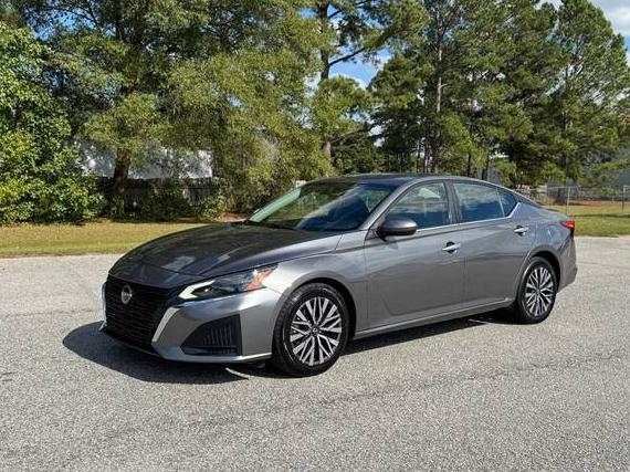 NISSAN ALTIMA 2023 1N4BL4DV8PN340223 image