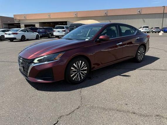 NISSAN ALTIMA 2023 1N4BL4DV7PN359054 image