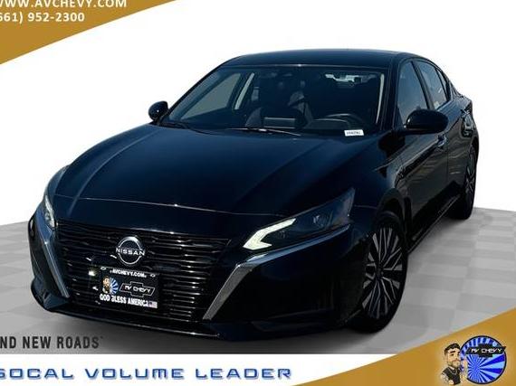 NISSAN ALTIMA 2023 1N4BL4DV8PN359161 image