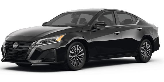 NISSAN ALTIMA 2023 1N4BL4DV9PN324886 image