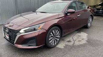 NISSAN ALTIMA 2023 1N4BL4DVXPN313816 image