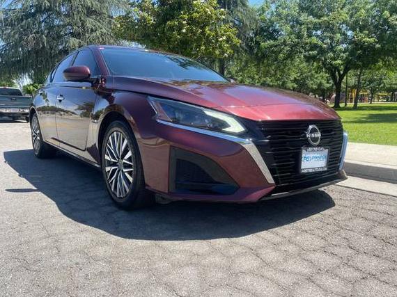 NISSAN ALTIMA 2023 1N4BL4DV3PN375512 image