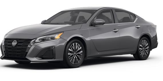 NISSAN ALTIMA 2023 1N4BL4DV5PN301556 image