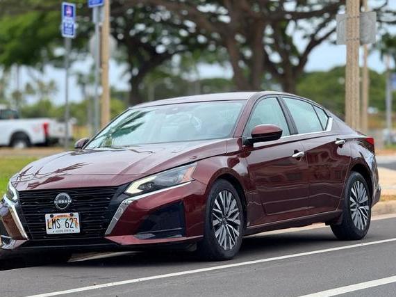 NISSAN ALTIMA 2023 1N4BL4DV7PN325146 image