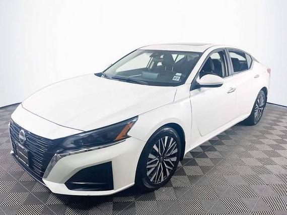 NISSAN ALTIMA 2023 1N4BL4DV1PN311825 image