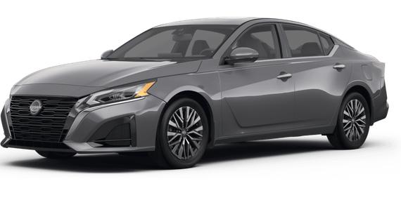 NISSAN ALTIMA 2023 1N4BL4DV3PN309557 image