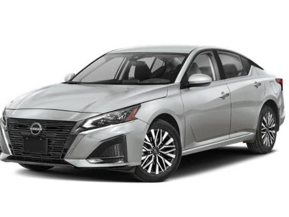 NISSAN ALTIMA 2023 1N4BL4DV8PN424249 image