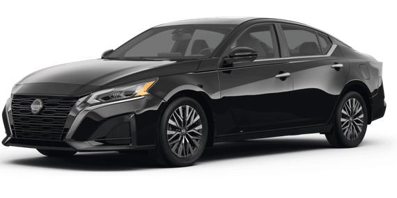 NISSAN ALTIMA 2023 1N4BL4DV3PN387515 image