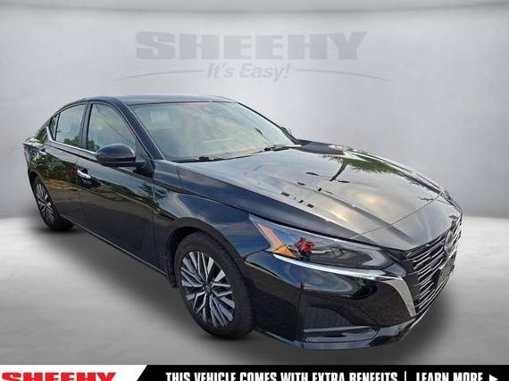 NISSAN ALTIMA 2023 1N4BL4DV5PN408588 image