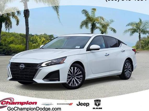NISSAN ALTIMA 2023 1N4BL4DV4PN344415 image
