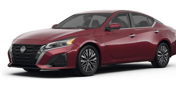 NISSAN ALTIMA 2023 1N4BL4DV4PN361814 image