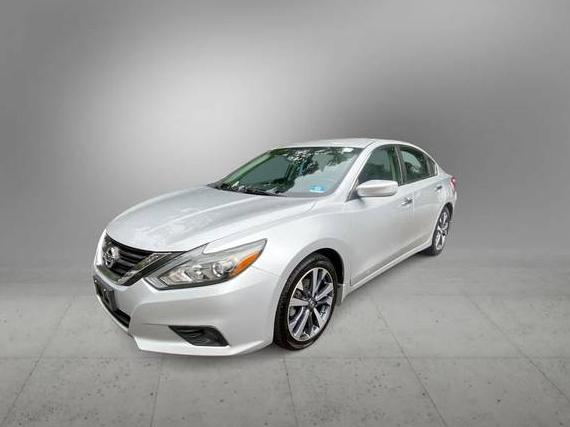 NISSAN ALTIMA 2016 1N4AL3AP1GC184145 image