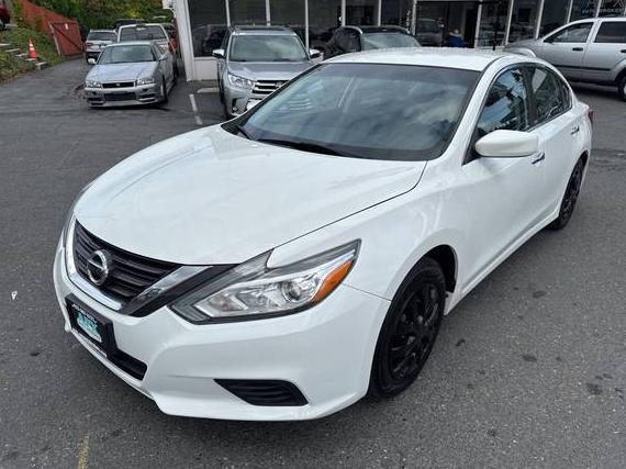 NISSAN ALTIMA 2016 1N4AL3AP6GC155157 image