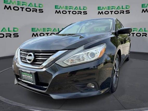 NISSAN ALTIMA 2016 1N4AL3AP1GN307110 image