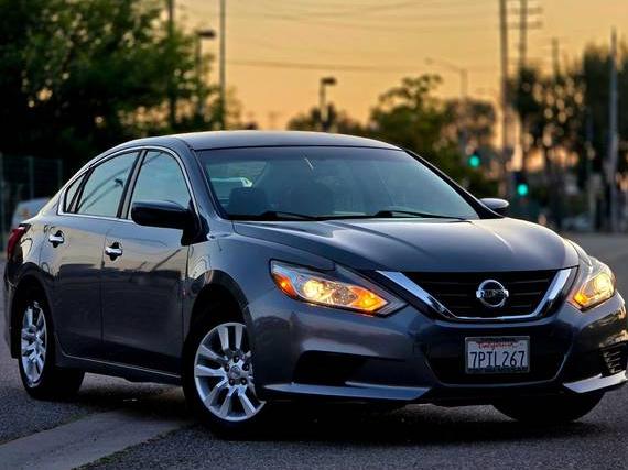 NISSAN ALTIMA 2016 1N4AL3AP1GC181035 image