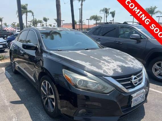 NISSAN ALTIMA 2016 1N4AL3AP5GC110954 image