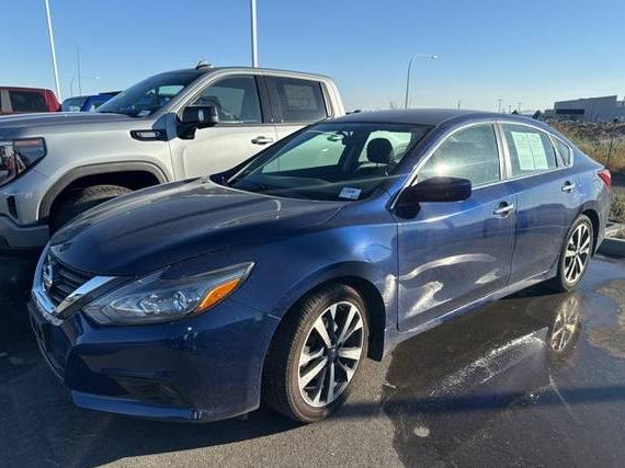 NISSAN ALTIMA 2016 1N4AL3AP7GC155636 image