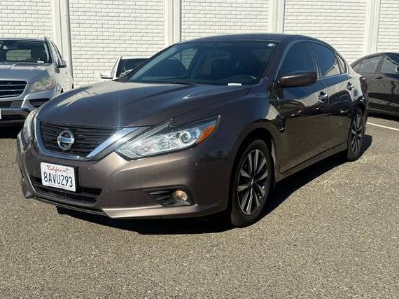 NISSAN ALTIMA 2016 1N4AL3AP4GC204646 image