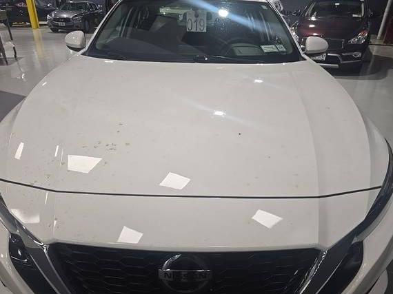 NISSAN ALTIMA 2019 1N4BL4BV4KC159305 image