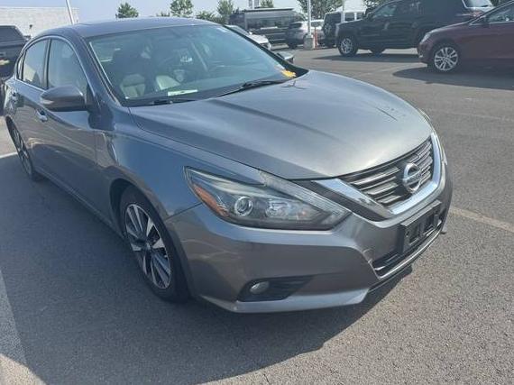 NISSAN ALTIMA 2017 1N4AL3AP8HC185312 image