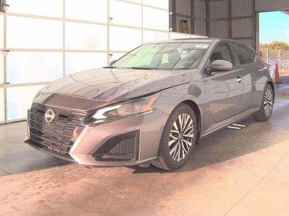 NISSAN ALTIMA 2024 1N4BL4DV8RN416445 image