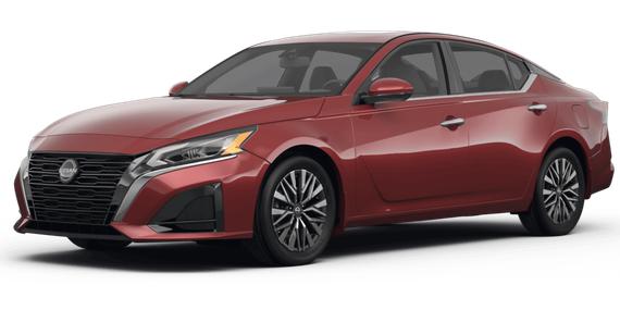 NISSAN ALTIMA 2024 1N4BL4DV6RN309037 image