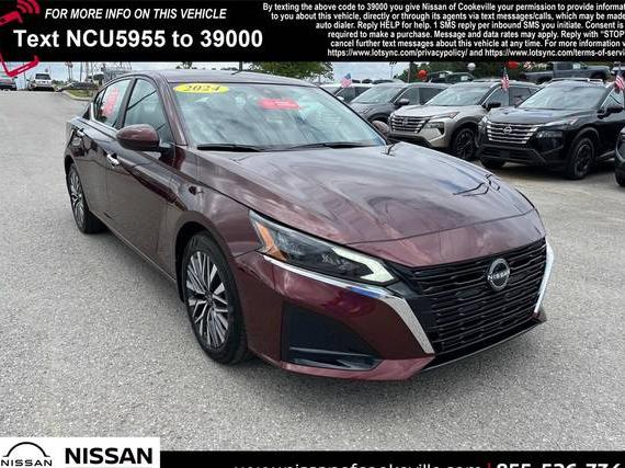 NISSAN ALTIMA 2024 1N4BL4DV9RN405955 image
