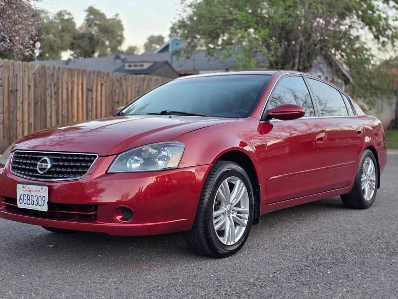 NISSAN ALTIMA 2005 1N4AL11D15C131968 image