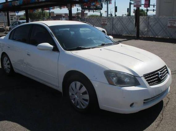 NISSAN ALTIMA 2005 1N4AL11DX5C316181 image