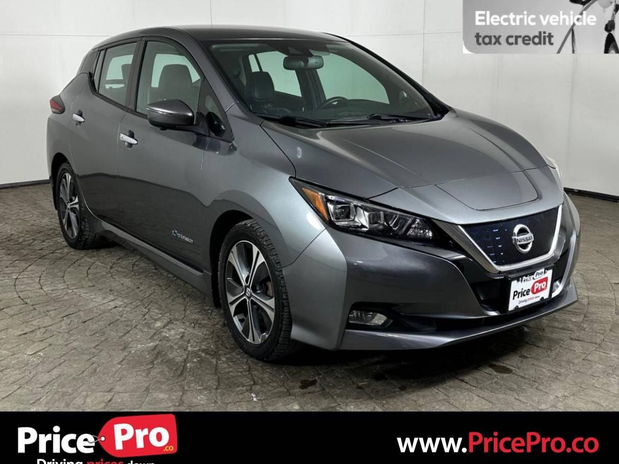 NISSAN LEAF 2019 1N4AZ1CP6KC302232 image