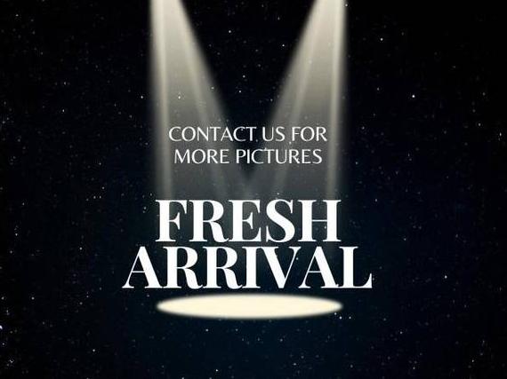 NISSAN TITAN 2021 1N6AA1ED1MN513203 image