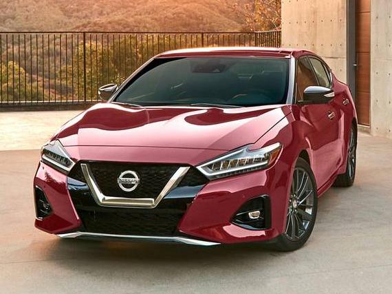 NISSAN MAXIMA 2023 1N4AA6FV0PC503887 image